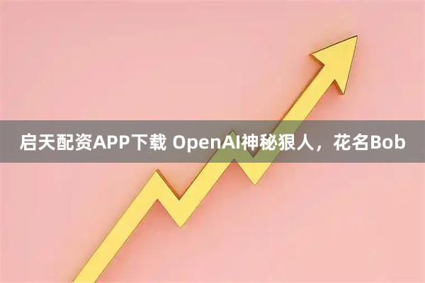 启天配资APP下载 OpenAI神秘狠人,花名Bob